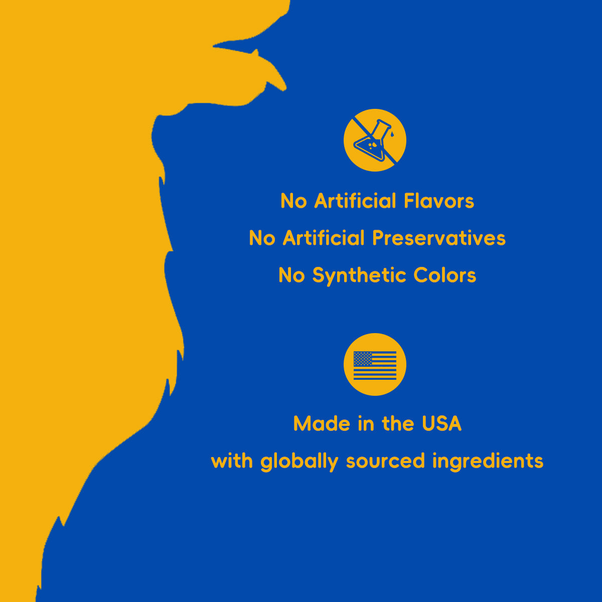 Bark & Meow Probiotic + Prebiotic – Pumpkin & Carrot Support Blend