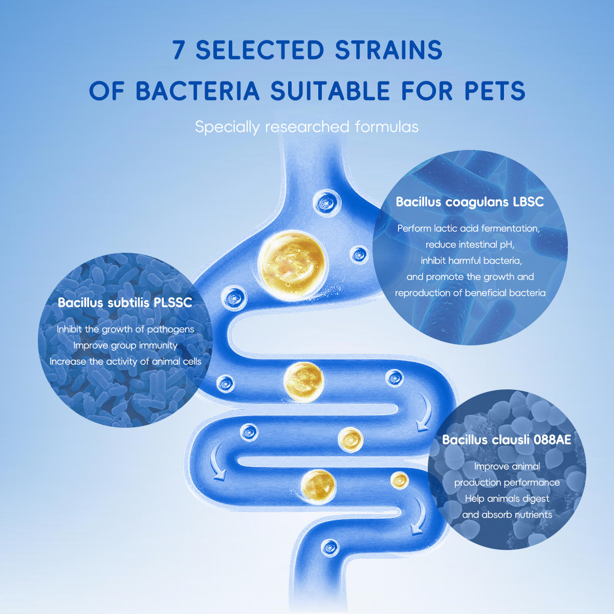 Bark & Meow Probiotic + Prebiotic – Pumpkin & Carrot Support Blend