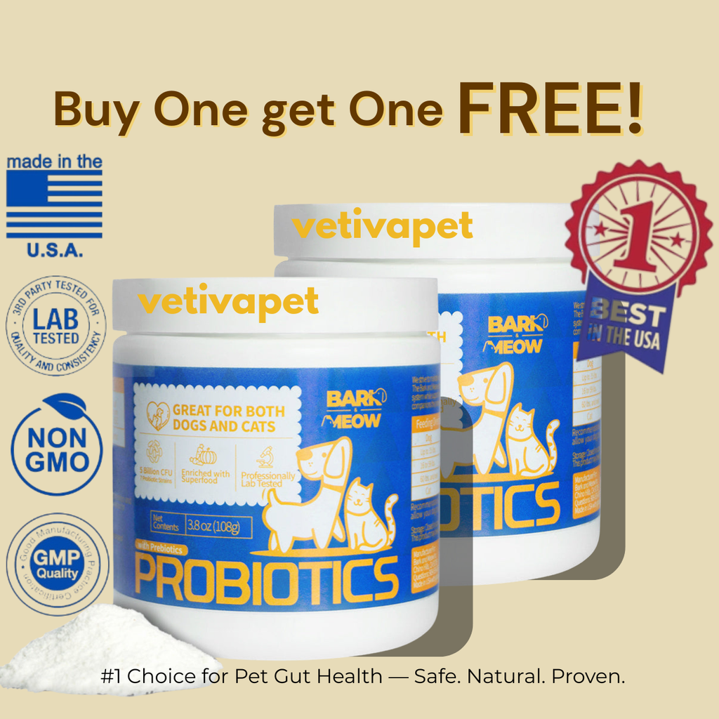 Bark & Meow Probiotic + Prebiotic – Pumpkin & Carrot Support Blend